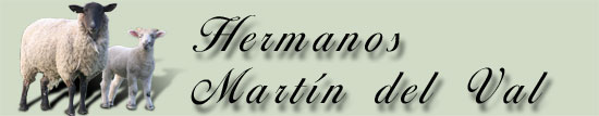 Logotipo de martin del val