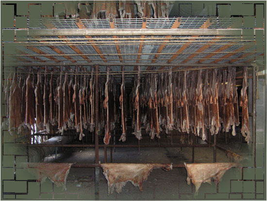 image of our drying warehouses